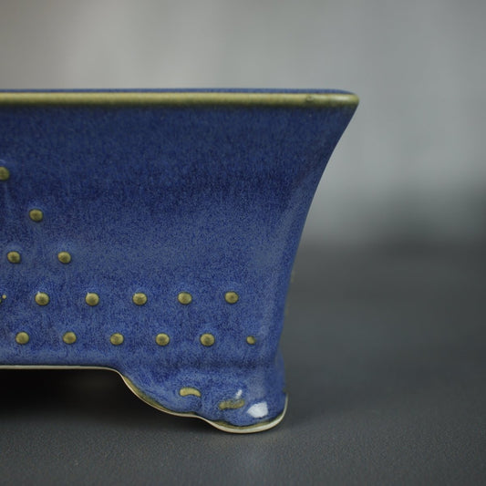 How To Choose The Right Bonsai Pot - Bonsai-En