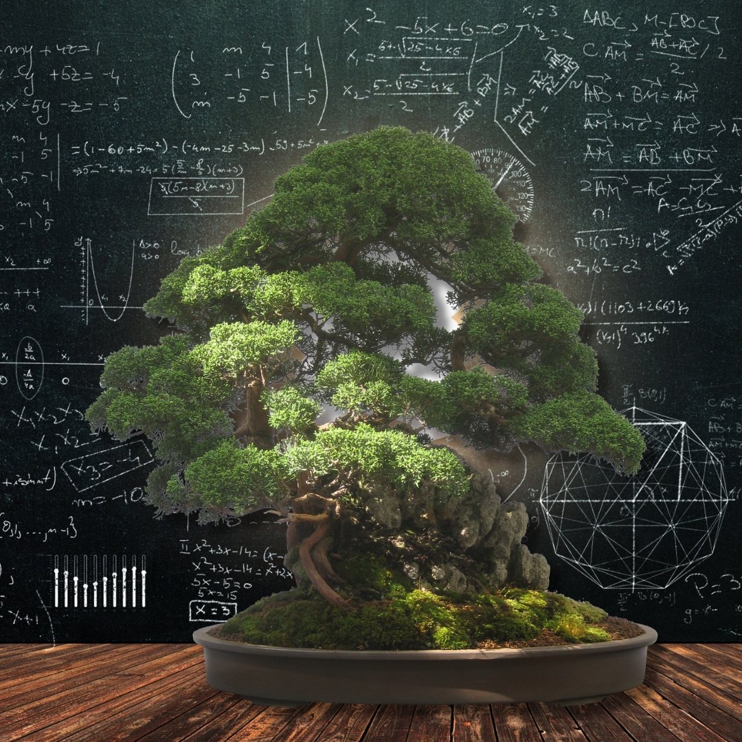 How To Style A Bonsai Tree With Basic Bonsai Styles - Bonsai-En