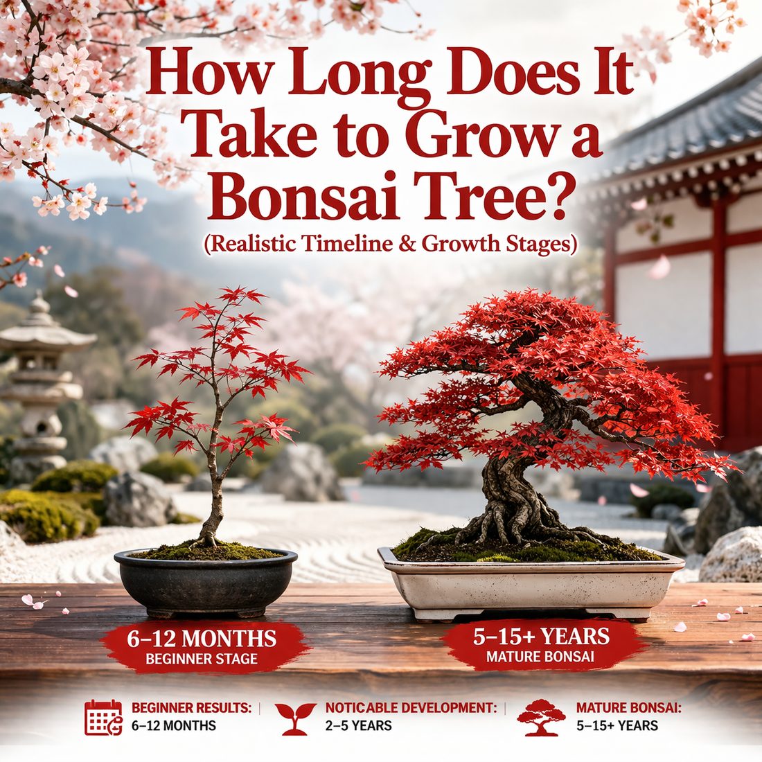 How Long Does It Take to Grow a Bonsai Tree? (Realistic Timeline)