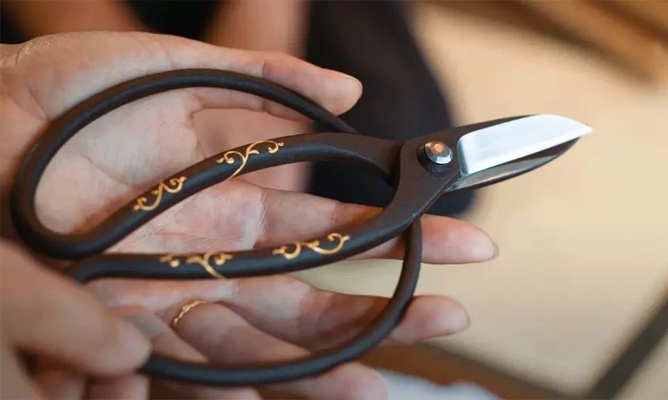 What are the most expensive bonsai scissors? - Bonsai-En