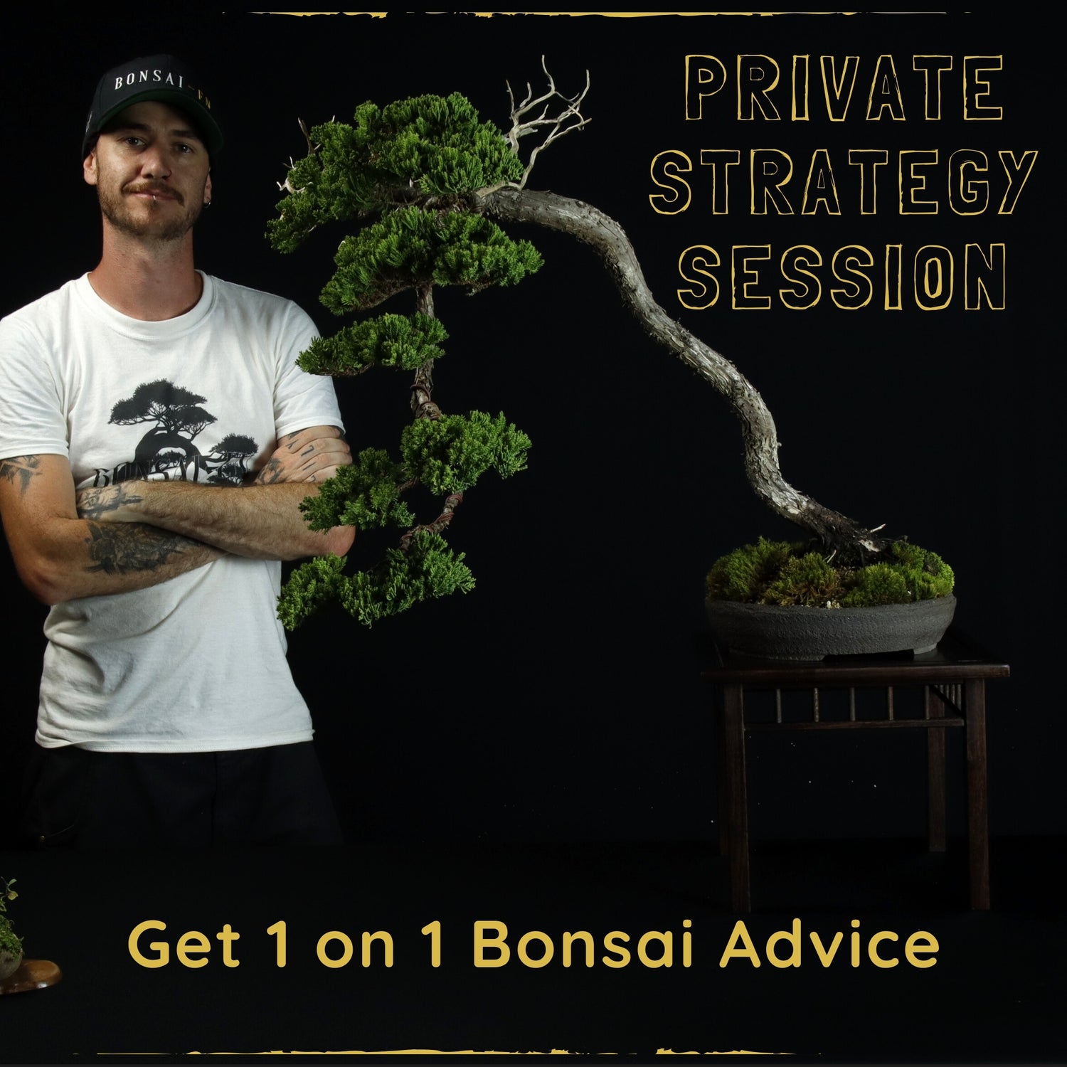 Private Online Bonsai Coaching
