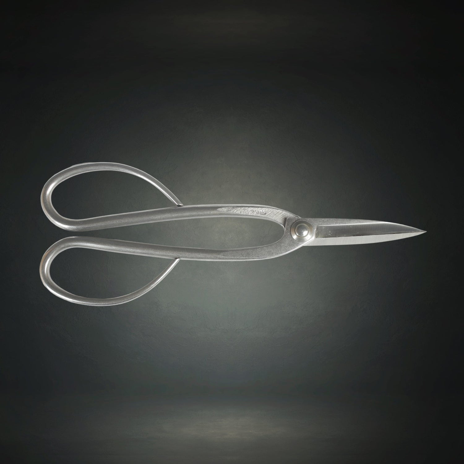 Stainless Steel Bonsai Scissors