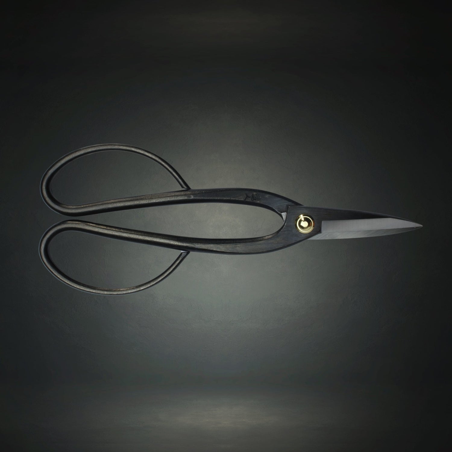 Carbon Steel Bonsai Scissors