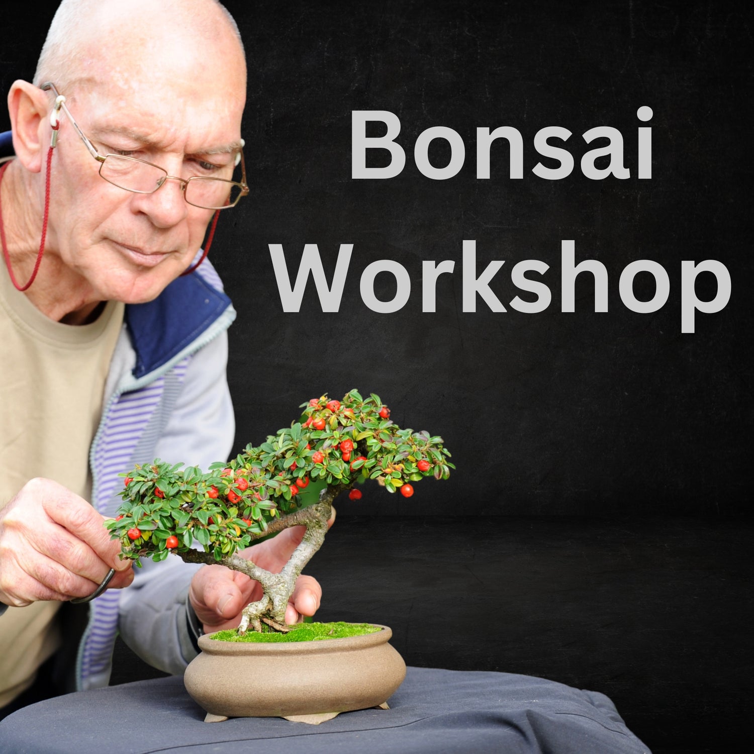 Bonsai Workshops