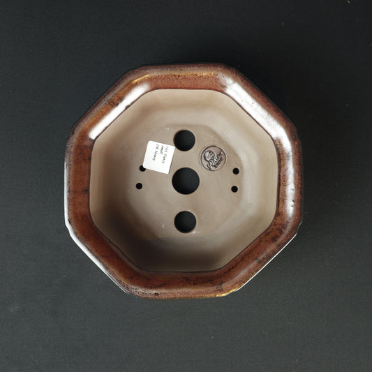 Oct Fancy Small Dark Honey V2