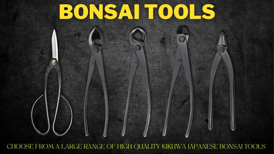 Bonsai Tools