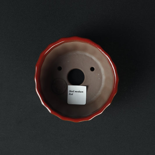 Shell Medium Red