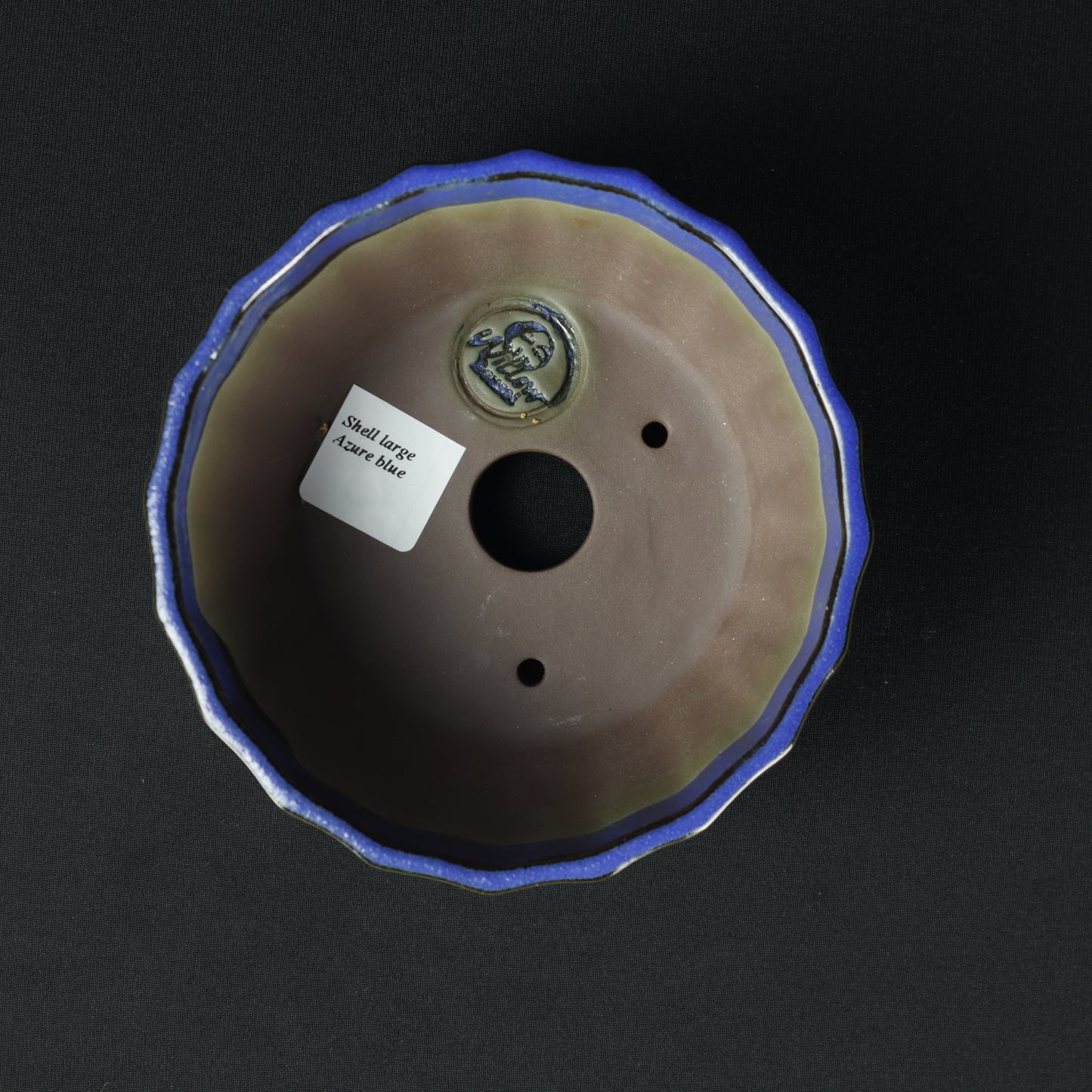 Shell Large Azure Blue
