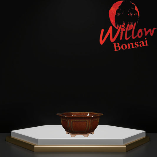 Hex Window Small Dark Honey