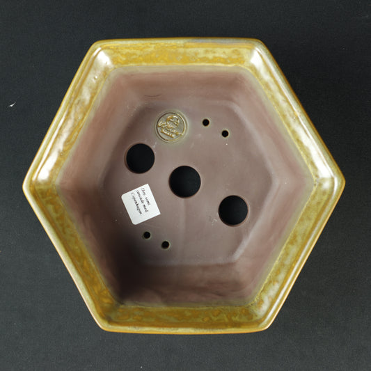 Hex Semi Cascade Medium Copenhagen