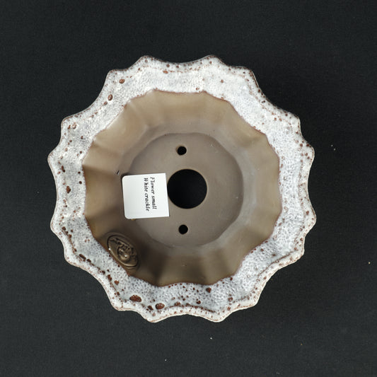 Flower Small White Crackle