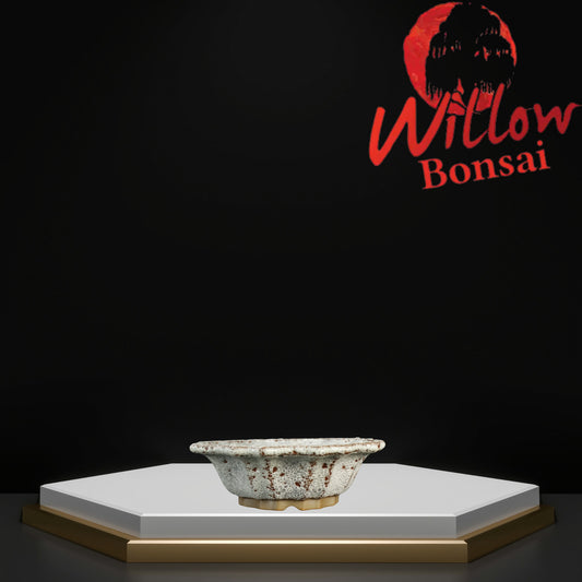 Flower Small White Crackle