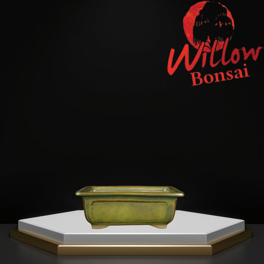 Rect Window X-Small Seaweed