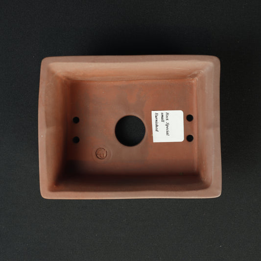 Rect Special Small Burnished Lite