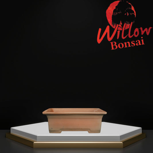 Rect Special Small Burnished Lite