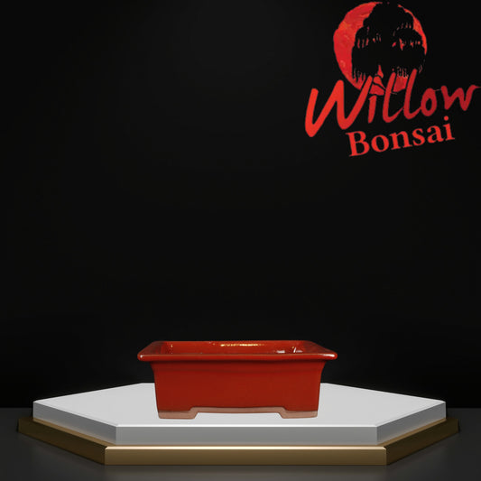 Rect Special Small Red