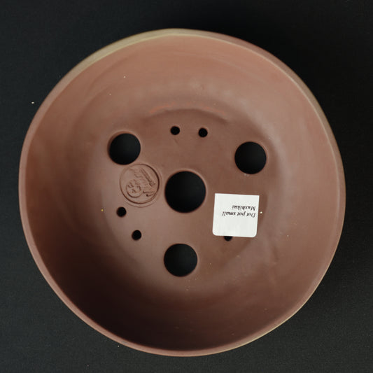 Dot Pot Small Mushikui