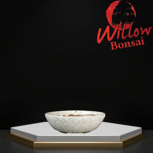 Dot Pot Small White Crackle