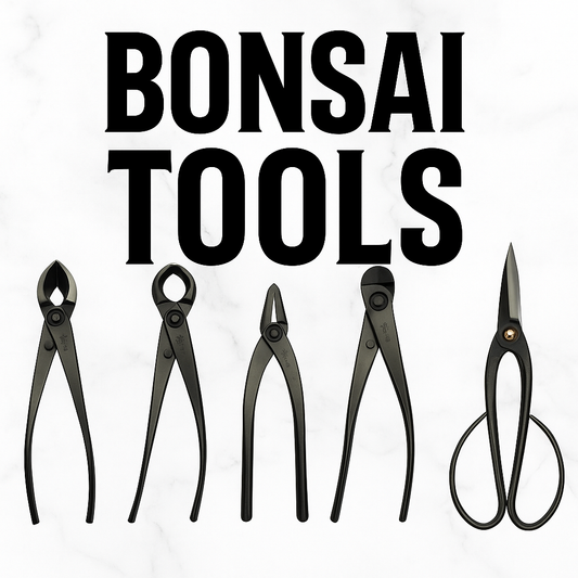 Winter Class 5 - Bonsai Tools