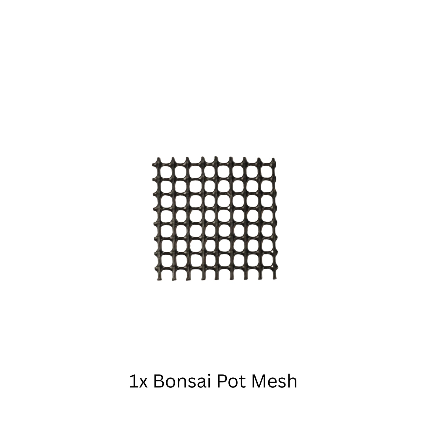 Make Your Own Bonsai Kit ( Ficus Benjamina + Soft Rectangle pot )