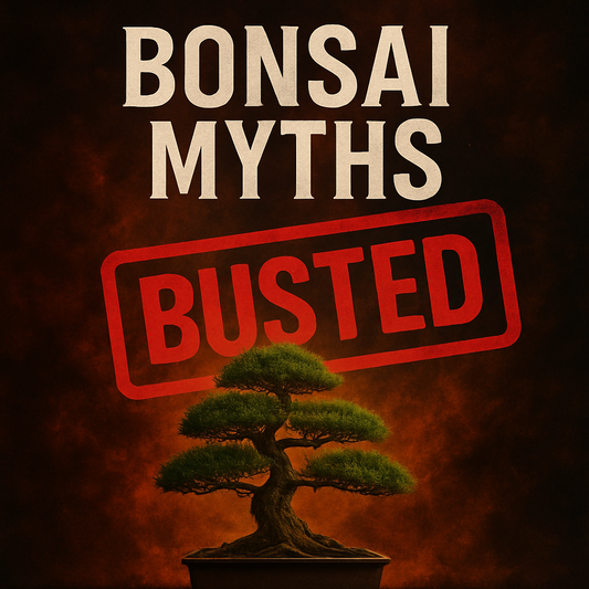 Spring Class 4 - Bonsai Myths