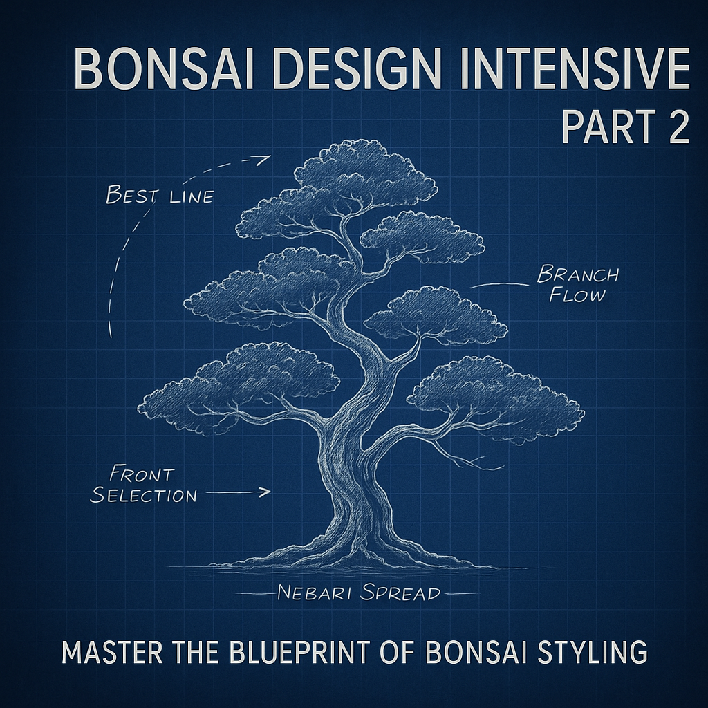 Autumn Class 4 Live Replay Digital Download - Bonsai Design Intensive pt 2