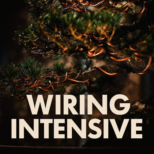 Winter Class 3 - Wiring Intensive