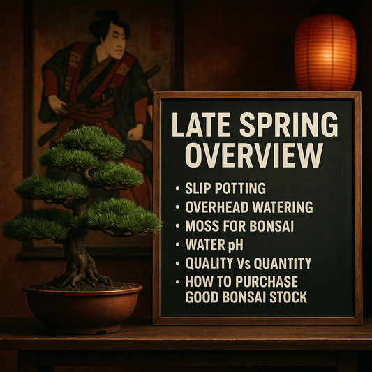 Spring Class 5 - Late Spring Overview
