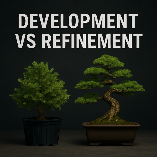 Spring Class 6 - Development vs Refinement