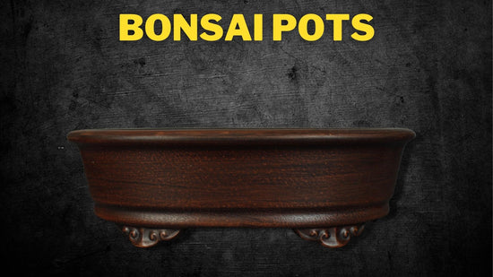 bonsai pots