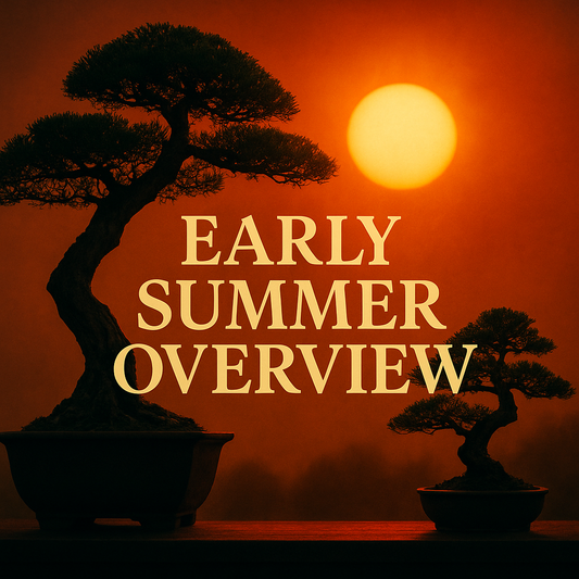 Summer Class 1 - Early Summer Overview