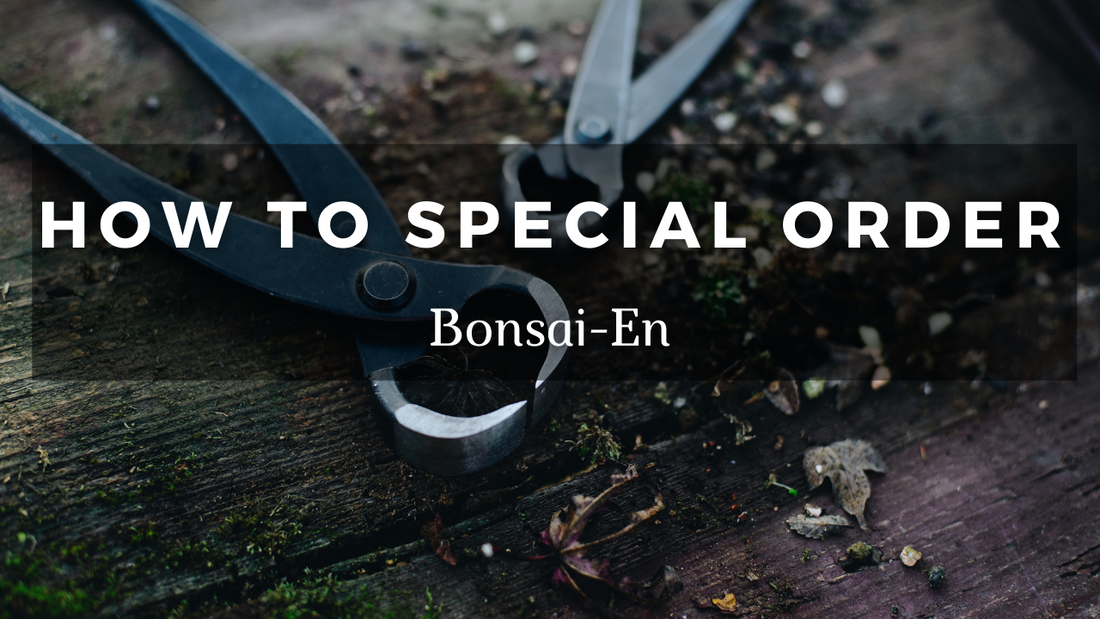 Special Order Items – Bonsai-En