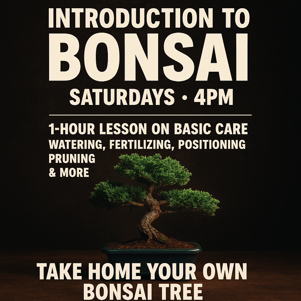 Introduction To Bonsai Class ( Tree Included ) Sat 13th September ( Afternoon Class )