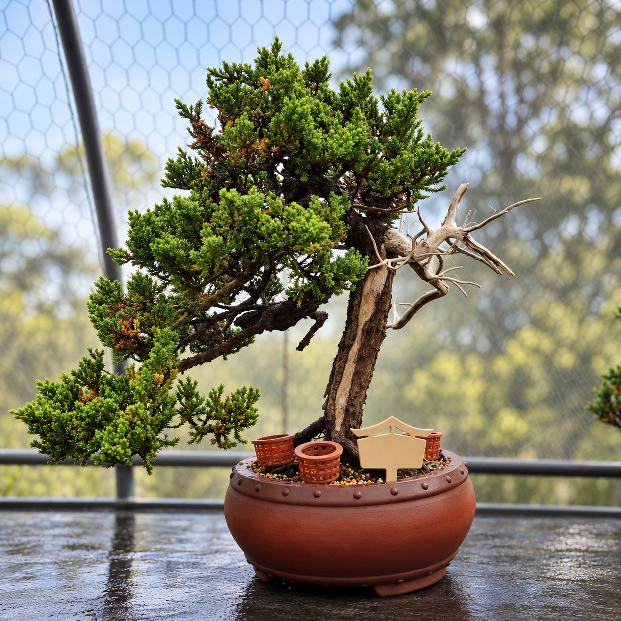 Pagoda Bonsai Tree Labels | UV Resistant 10 Pack
