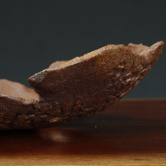 Hand Made Free Form Bonsai Pot - Denise Allen #9