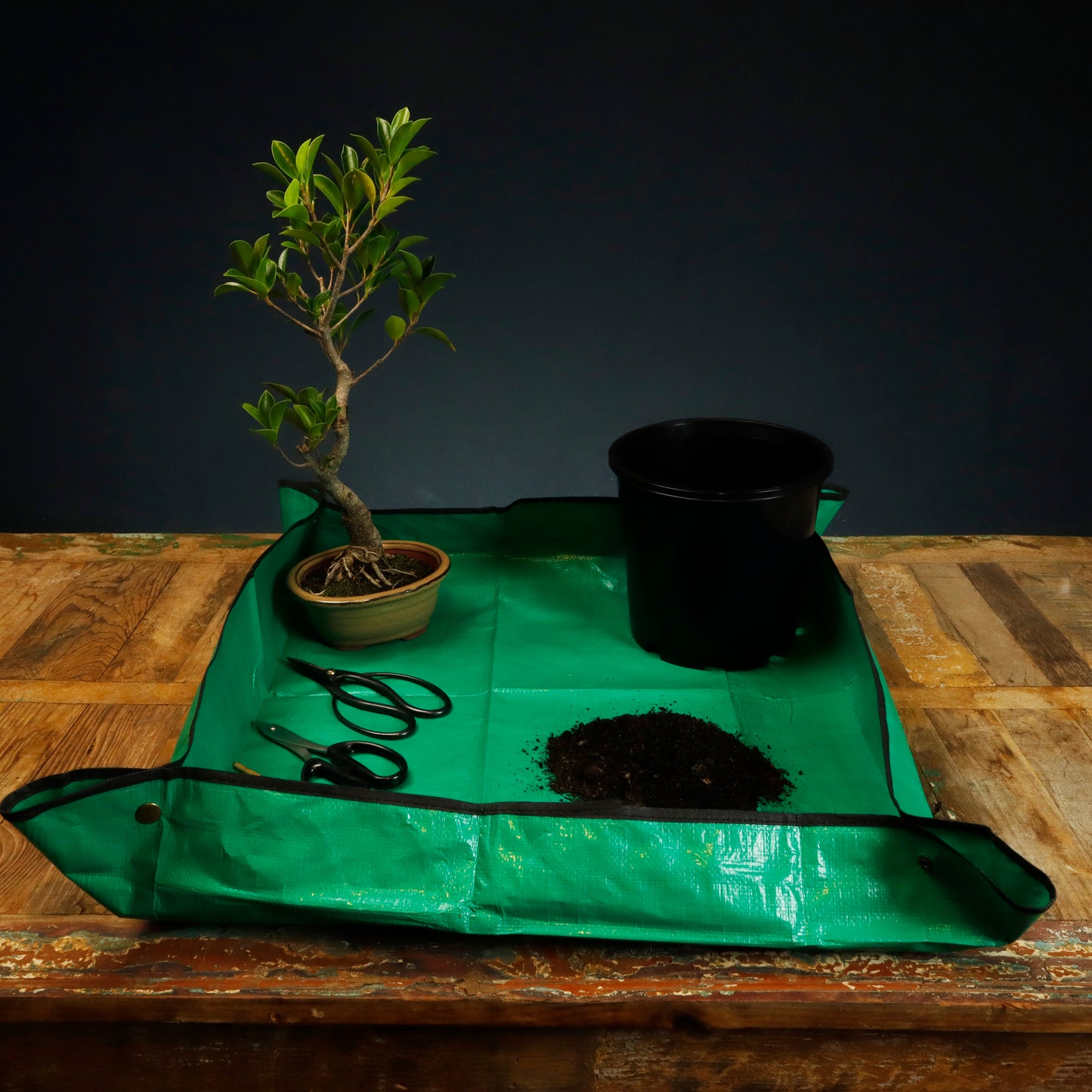Bonsai Re-Potting Mat 74cm x 74cm