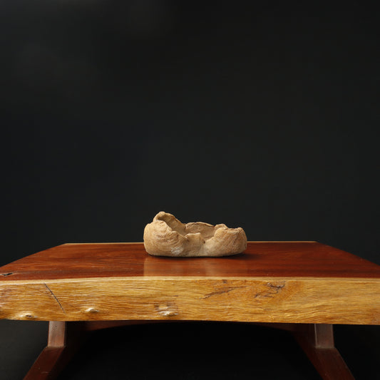 Free Form Penny Davis Bonsai Pot #1