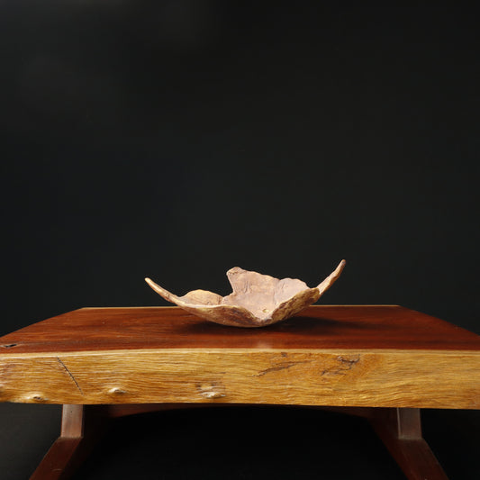 Denise Allen Free Form Pot
