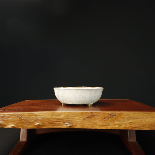 Janet Selby Round White Crackle Bonsai Pot