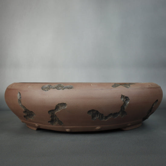 Willow Bonsai Pot