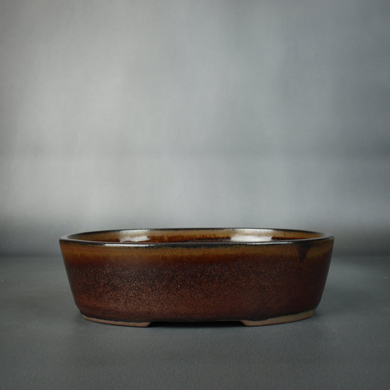 Willow Bonsai Pot