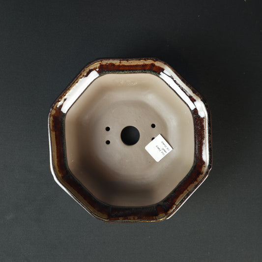 Oct Fancy Small Dark Honey