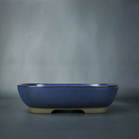 Willow Bonsai Pot