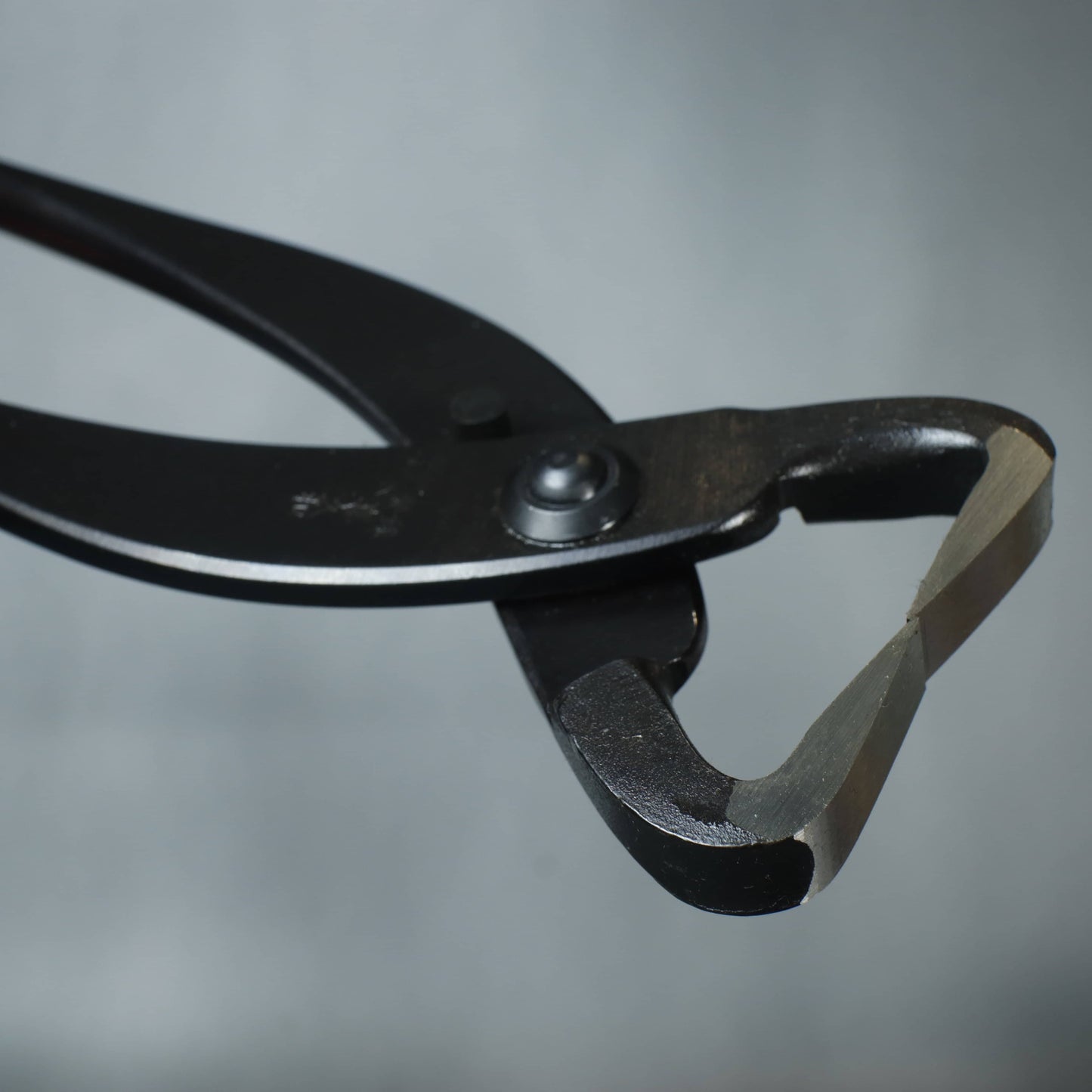 210mm Kikuwa Trunk Splitter
