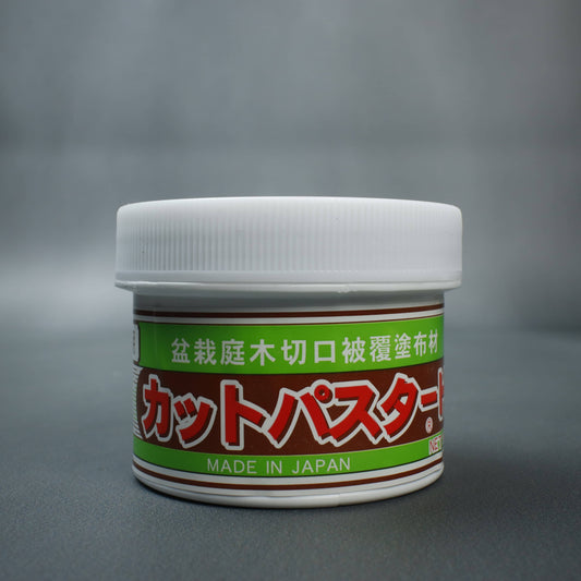 Bonsai Cut Putty Deciduous