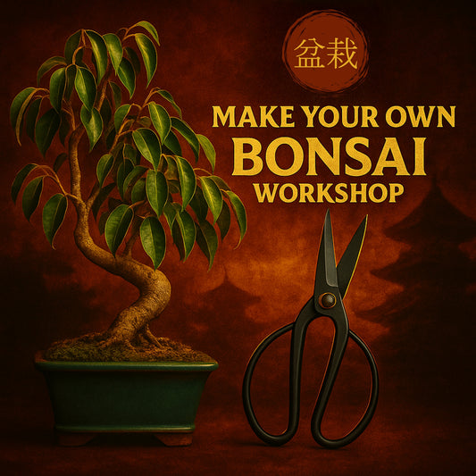 Make Your Own Bonsai Workshop - Sun Nov 2nd