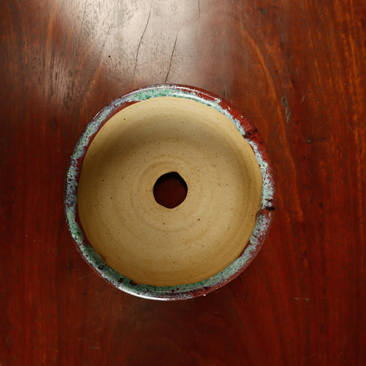 Marg Fenn Victorian Native Bonsai Club AABC 2019 Commemorative Pot