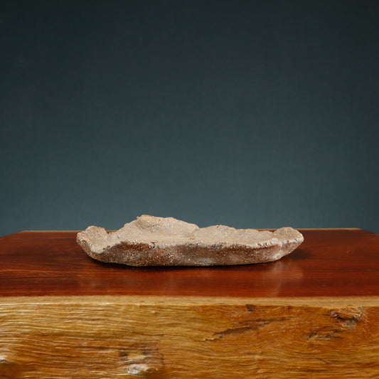 Denise Allen Free Form