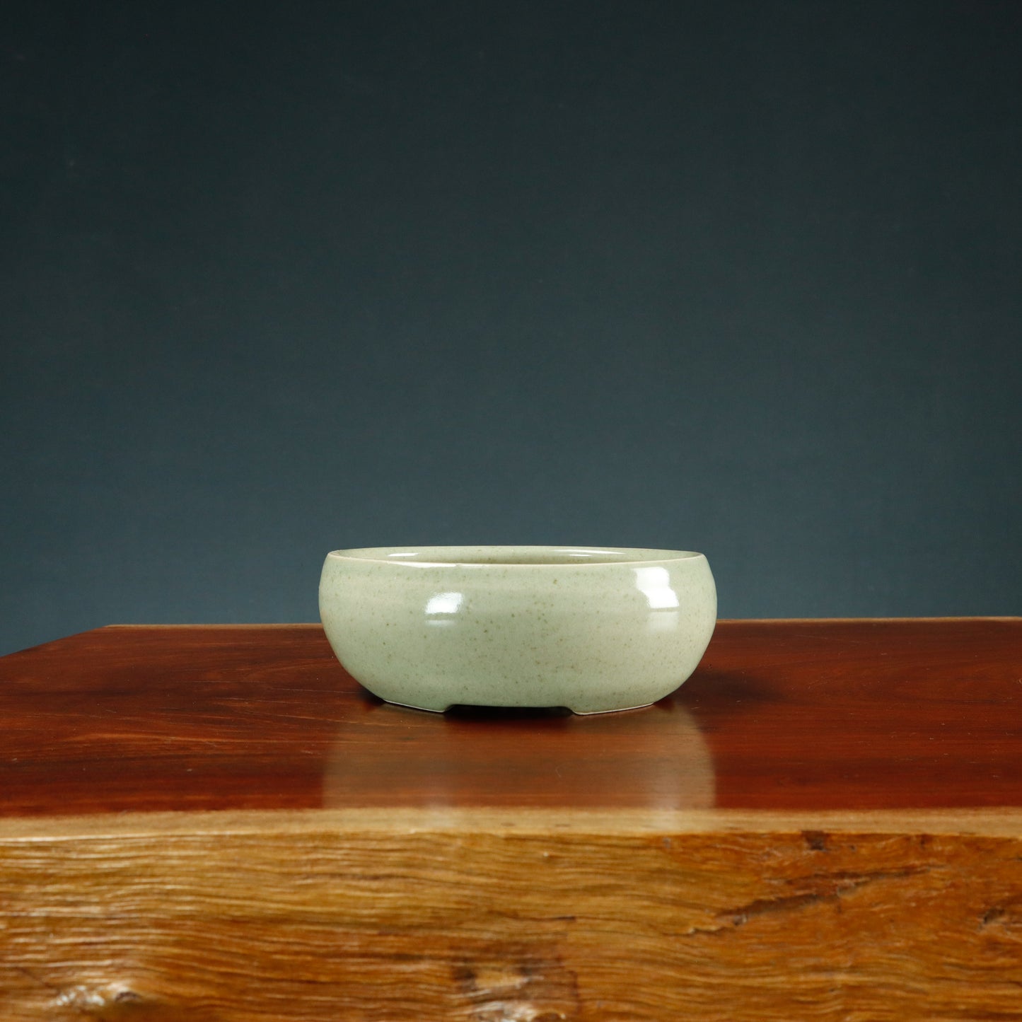 Canberra Bonsai Society 40th Anniversary Pat Kennedy Commemorative Pot