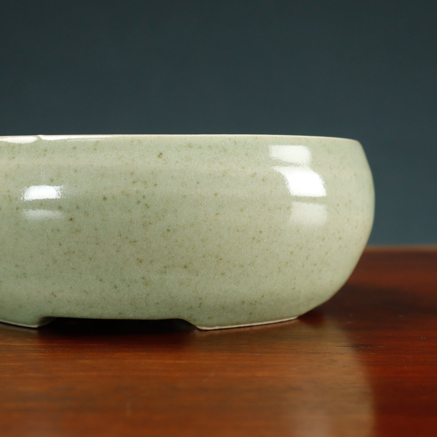 Canberra Bonsai Society 40th Anniversary Pat Kennedy Commemorative Pot